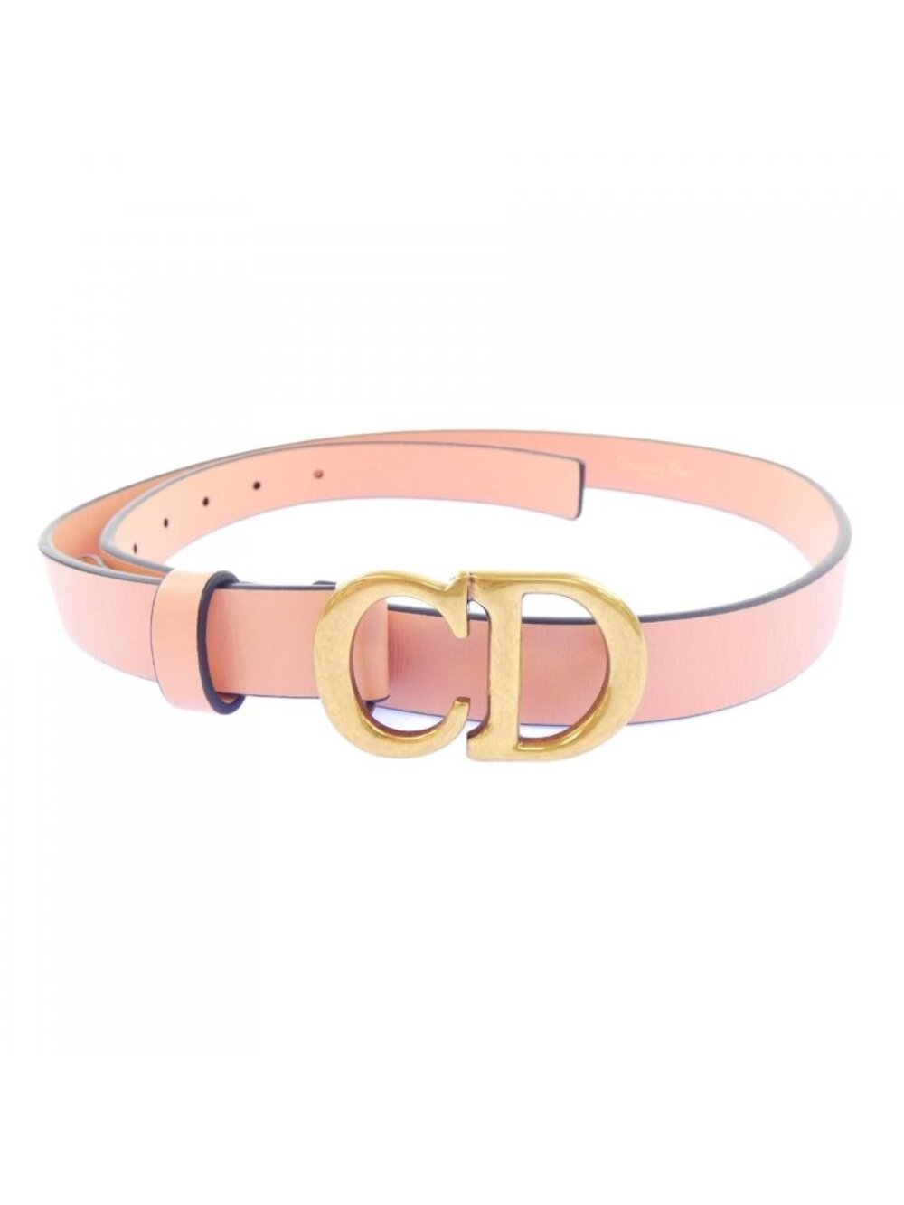 Dior Saddle 20 Belt